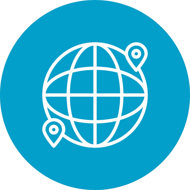 Global Systems icon